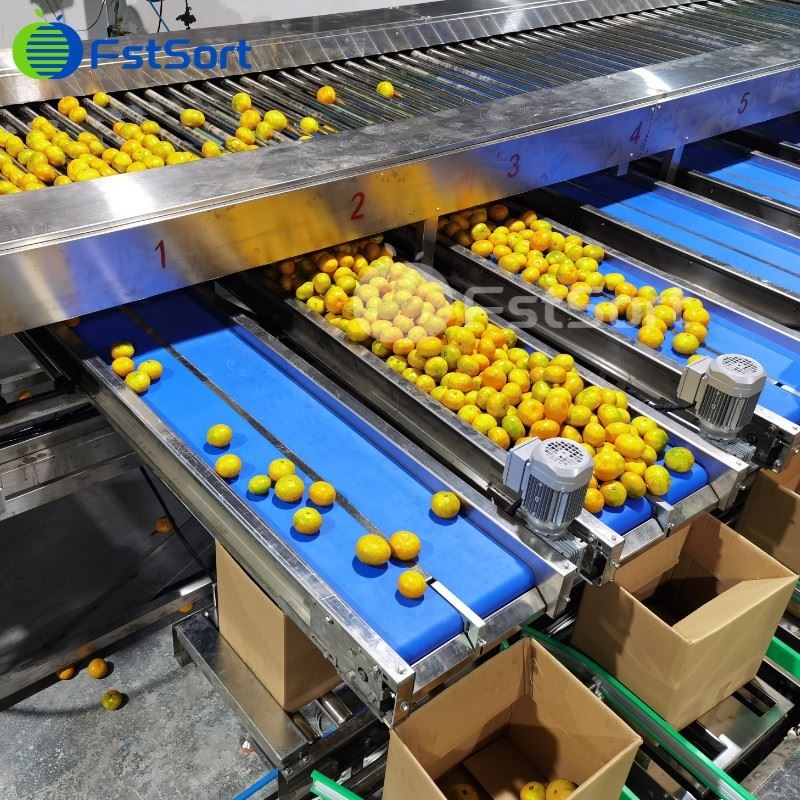 Best Selling Passion Fruit Sorting Grading Machine factory
