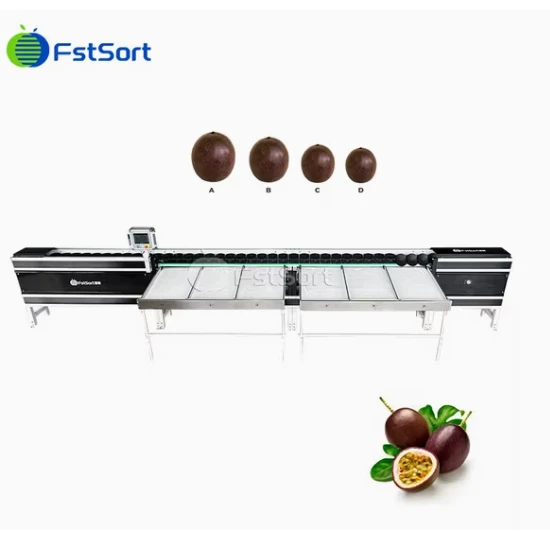 Passion Fruit Weight Sorting Machine factory