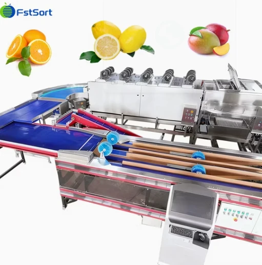 FstSort Automatic Mango Weight Processing Line price