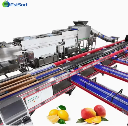 FstSort Ligne ti sarango kua na poids ti mango automatique