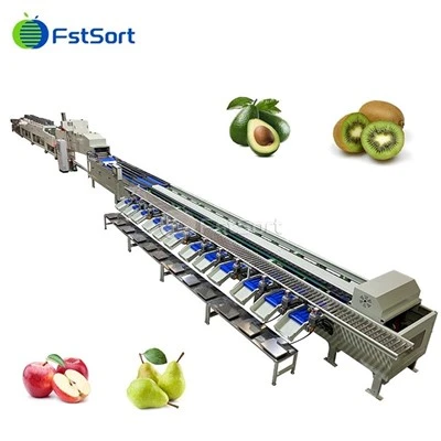 Machine ti kangbingo yâ ti poids ti avocat ti vongo ye